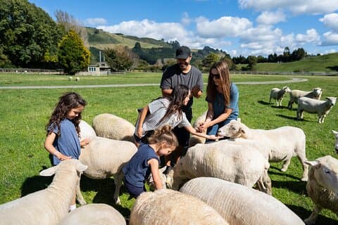 Agrodome Farm Experience que incluye Farm Show y Farm Tour - Rotorua