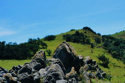 Heldags privat Ngong Hills Adventure fra Nairobi