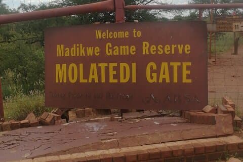 Madikwe Transfer from Johannesburg and Pretoria