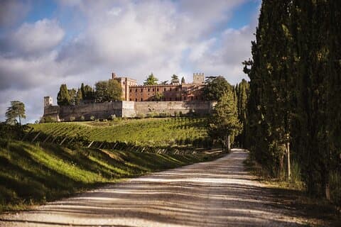 Castelo de Siena e Chianti com almoço e degustação de vinhos saindo de Florença