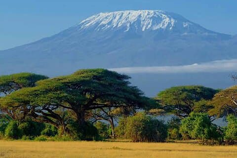 6 jours de randonnée au Kilimandjaro