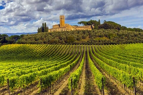 From Florence: Siena and Chianti WineTour with Lunch