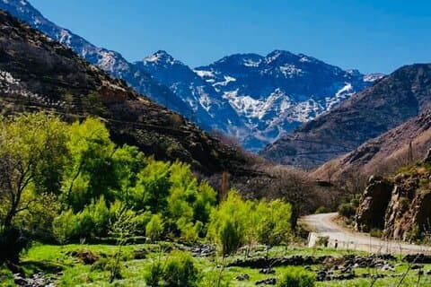 Excursión al valle del Ourika y pueblos bereberes