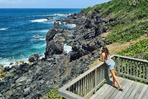 Panoramic Full Island Tour With Lunch And Beach