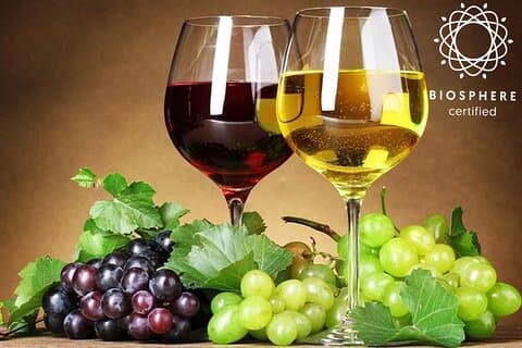 Catas de vinos, Skywalk, Naturaleza 4x4 Expedición a techo abierto
