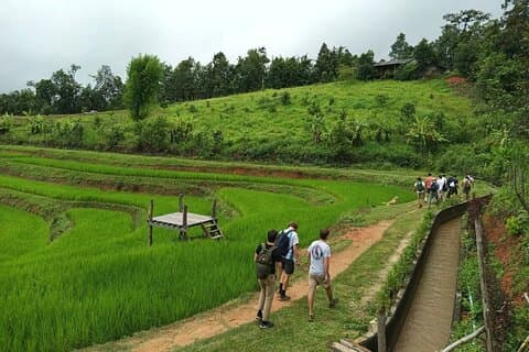2 dagar 1 natt Eco Trekking till White Pakayaw Village