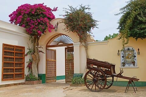Vista Alegre Winery : Classic Tour + Artisan Winery