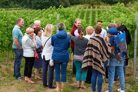 Privat vinsmagning og vingårdstur fra Liverpool med frokost