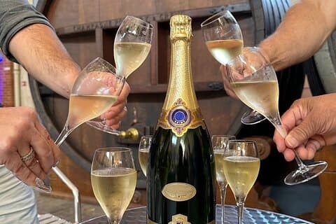 Champagne Day Trip fra Reims inkludert 9 Champagne Tastings