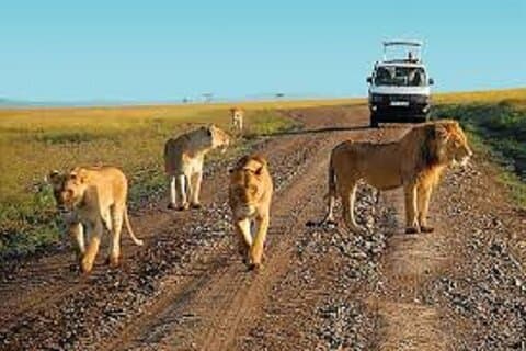 5 Days Safari to Tsavo West, Amboseli and Tsavo East from Mombasa