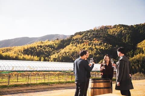 Wine Tasting Experience in Yamaga