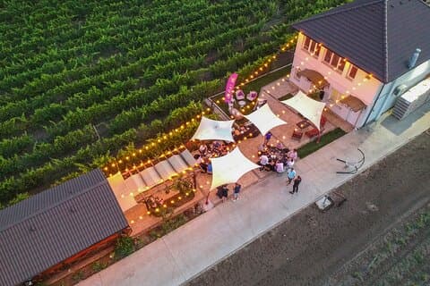 Unveilling the Essence: Gabai Winery's Captivating Wine Tours