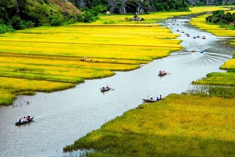Utforska från Hanoi: Tam Coc, Hoa Lu och Mua Caves Heldagsutflykt