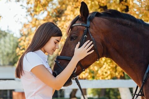 Visita guiada aos estábulos El Ranchito em Málaga