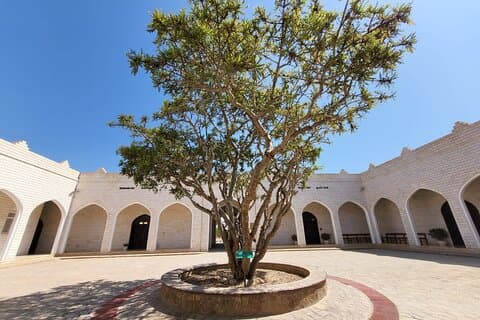 UNESCO-werelderfgoedlocaties De wierookroute