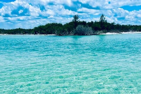 4-timers ø/sandbar udflugt med kaptajn