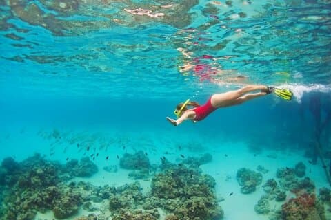 Bahía de Nha Trang : Explora el buceo de medio día en Coral Reef