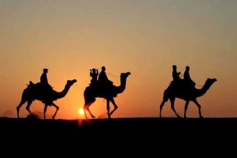Overnight Camel Safari