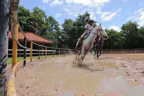 Siem Reap Happy Horse Riding Pick-up & Drop-off grátis