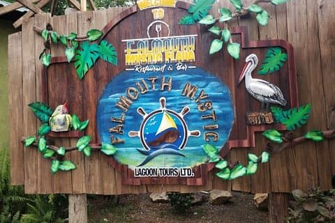 Privat Luminous Lagoon Tour från Montego Bay