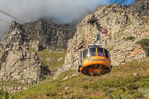 Taffelberget och Robben Island privat tur