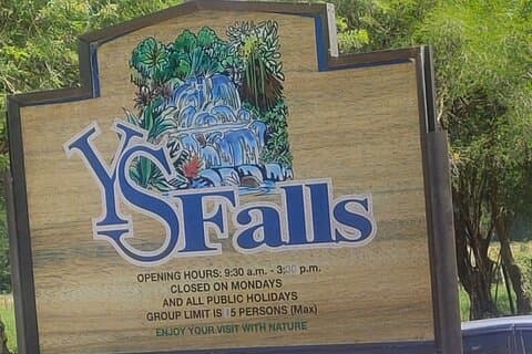 Privé YS Falls en Black River Safari vanuit Montego Bay