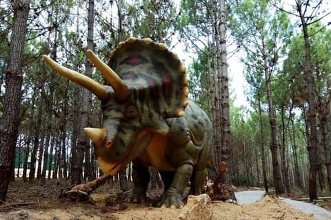 Dinosaurs Park - Family Half day tour