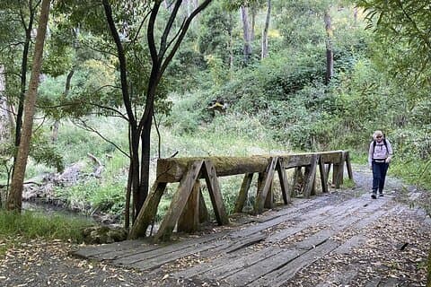 Experiencia de bienestar y caminata en la pista Daylesford Goldfields