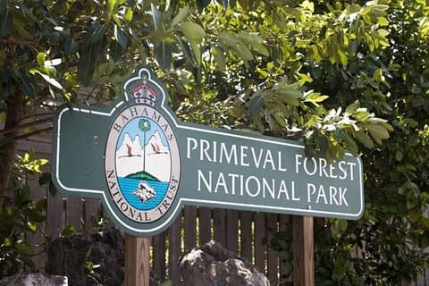 Guidad tur i Primeval Nature Walk i Primeval Forest National Park