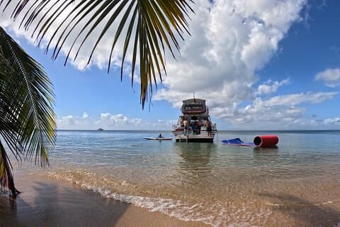 Vieques All-Inclusive: Swim with Turtles & Enjoy Pristine Beaches