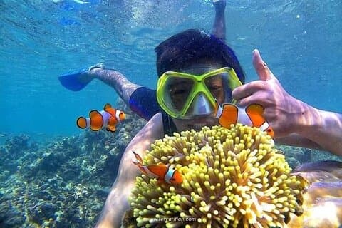 Bali: Snorkeltur - Blue Lagoon og Tanjung Jepun med frokost