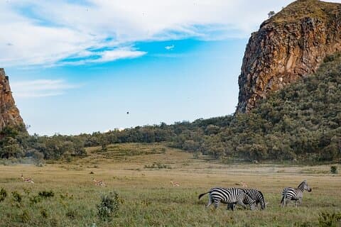 Overnight Tour To Hell Gate park And Lake Nakuru National Park