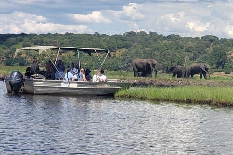 Chobe Safari Full-Day Tour Botswana