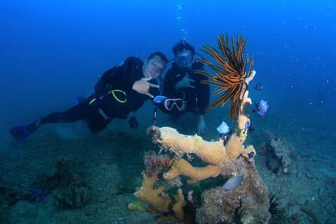 Scuba Diving Experience in Nha Trang Bay