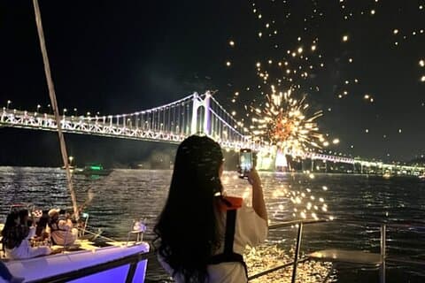Busan privat natttur - stadsbelysning och mat