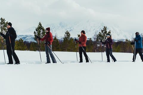 Introduction au ski de fond dans l'Arctique