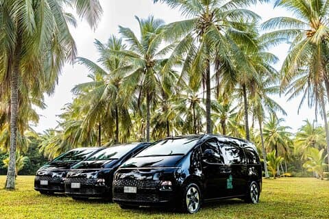 Cairns a Mission Beach Trasferimento privato di sola andata 6 pax