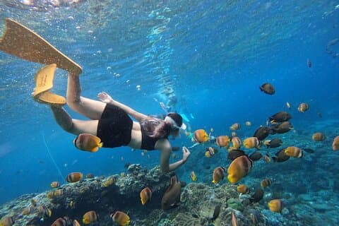 Excursion d'une journée de plongée en apnée à Lembongan et Penida
