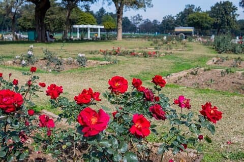 Garden Trails of Chandigarh (excursão guiada de dia inteiro pela cidade)