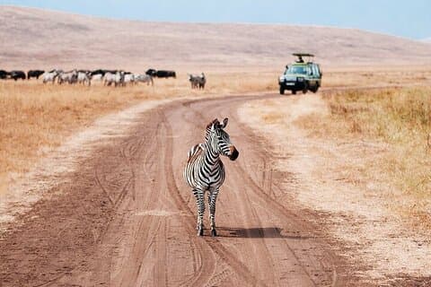 5-daags exclusief kampeeravontuur in Noord-Tanzania