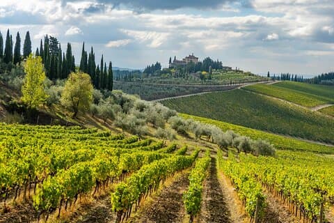 Chianti Wine Tour - Private Weinerfahrung in der Toskana