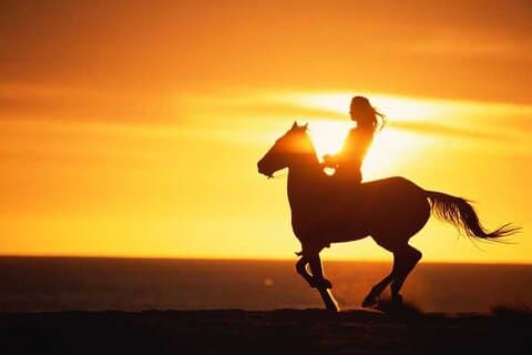 Agadir/Taghazout: Experiência de equitação de praia