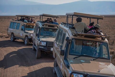 Esperienza safari privata in Tanzania Lodge di 6 giorni a medio raggio
