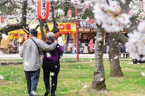 Private and Unique Fukuoka Cherry Blossom Sakura Experience