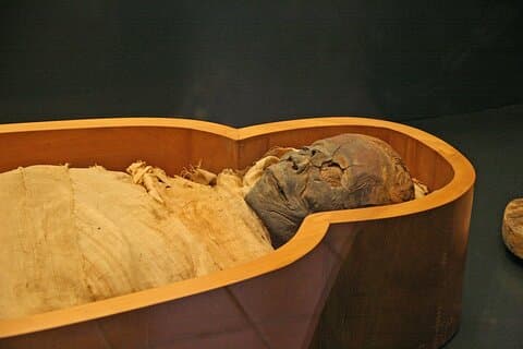 Privat rundtur till Luxor Museum & Mummification Museum