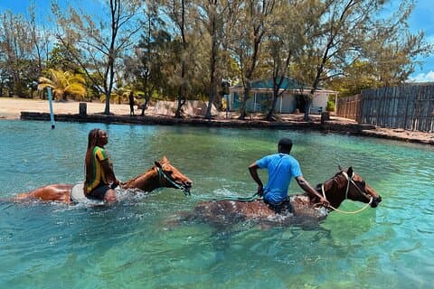 Passeio a cavalo e natação privada em Montego Bay