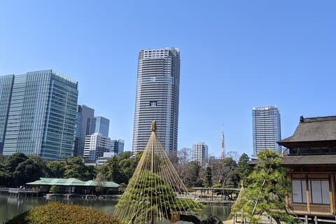 Tour de bienestar por los jardines Tsukiji y Hamarikyu: caminata, relajación y almuerzo