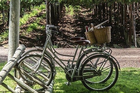 Bike Ride at Bodega Santa Julia with Lunch, Mendoza