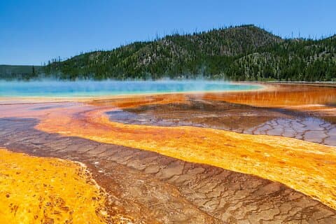 The Best of Yellowstone - Nat'l Park Day Tour From Cody - Private