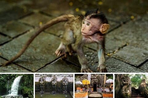 Best of Bali Ubud Tour and Surrounding